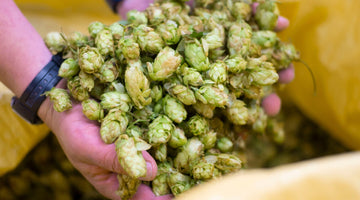 Fresh Hop